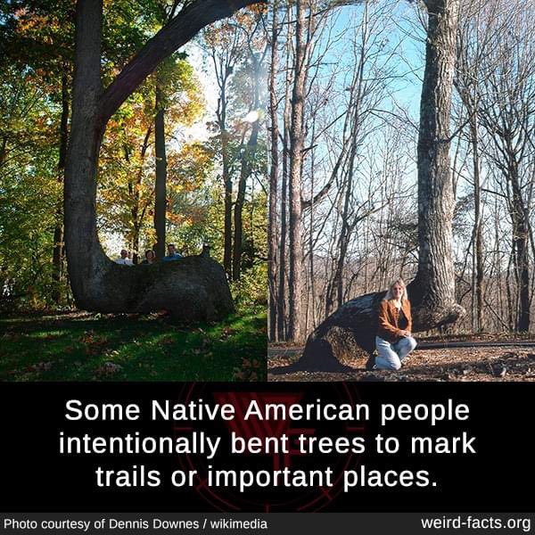 LibertarianGar's tweet photo. Gods creations are so cool! https://t.co/yxM7k6AUSr