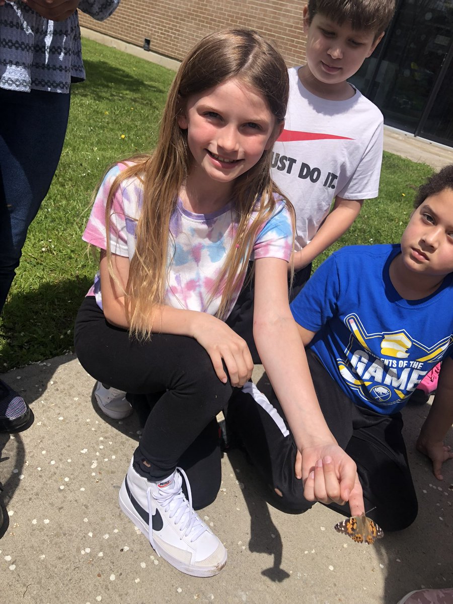 Wow….our third graders have been busy. Take a look at our third grade butterfly release