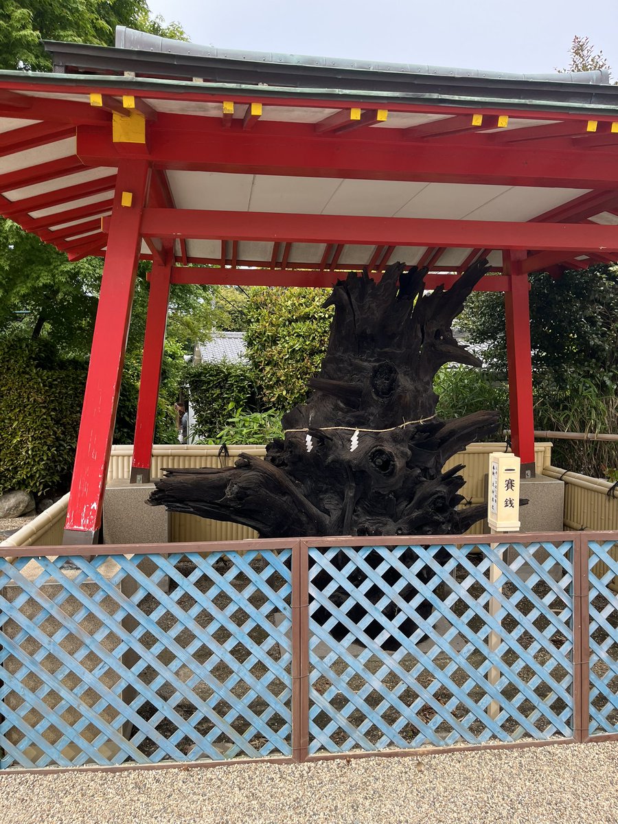 多治速比売神社に参拝⛩️
雨が降る前に初大阪の神社で御朱印頂きました