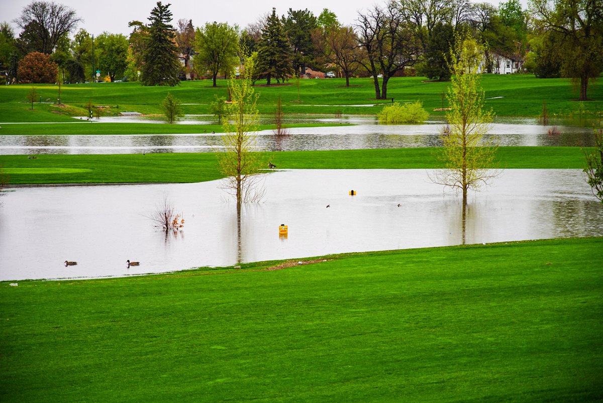 DenverGolf5280's tweet photo. ⛈️ The stormwater detention area at City Park Golf Course came in handy over the last few days! 

Hoping for better weather, but the forecast calls for more rain next week. 😠

🌧️🌧️🌧️🪣

#DenverGolf #Denver #Weather https://t.co/29wOEFL7AH