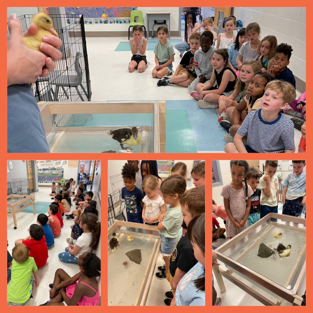 Colleen Chisholm-Bennett tweet media