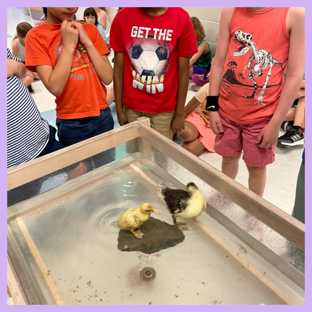 Colleen Chisholm-Bennett tweet media