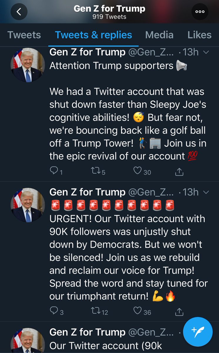 Wlx29's tweet photo. Hey @TwitterSupport it looks an awful lot like someone is trying to circumvent a permanent ban. No? https://t.co/tH50h8wA9z