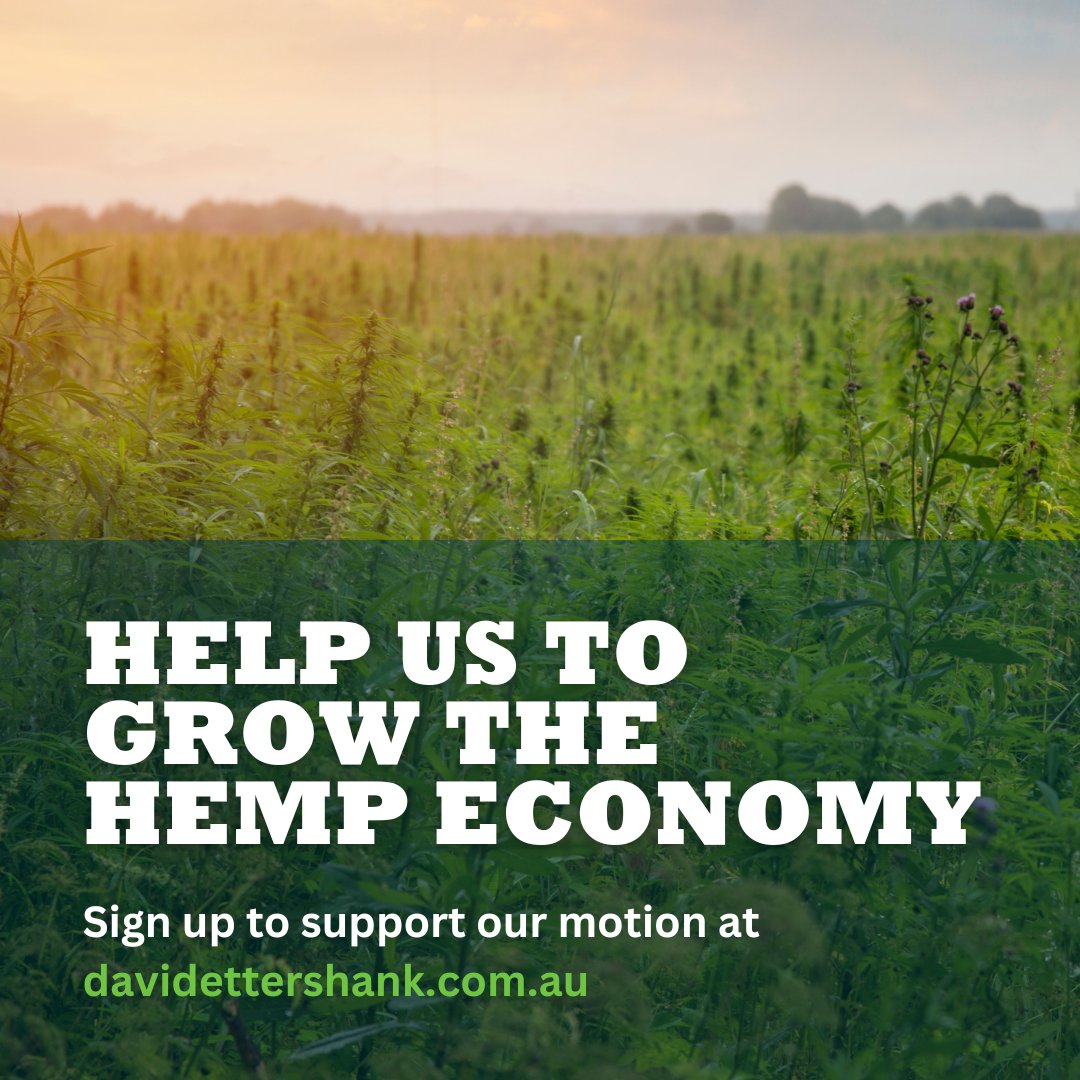 It's one of the fastest growing crops on the planet and it could be part of the solution to the climate crisis. Help make hemp part of Victoria's future.
Support our motion for an inquiry here:
davidettershank.com.au/grow-hemp-econ…
#growthehempeconomy #industrialhemp