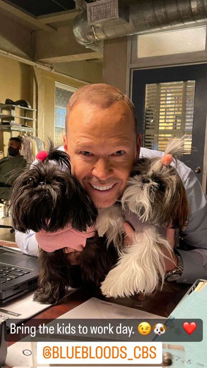 DdubsTXEMT1980's tweet photo. It's #BlueBloods Friday! #BlockheadArmy, let's get those thumbs warmed up and ready to go!
🚔💙❤️🚔 https://t.co/YfXeUALxE7