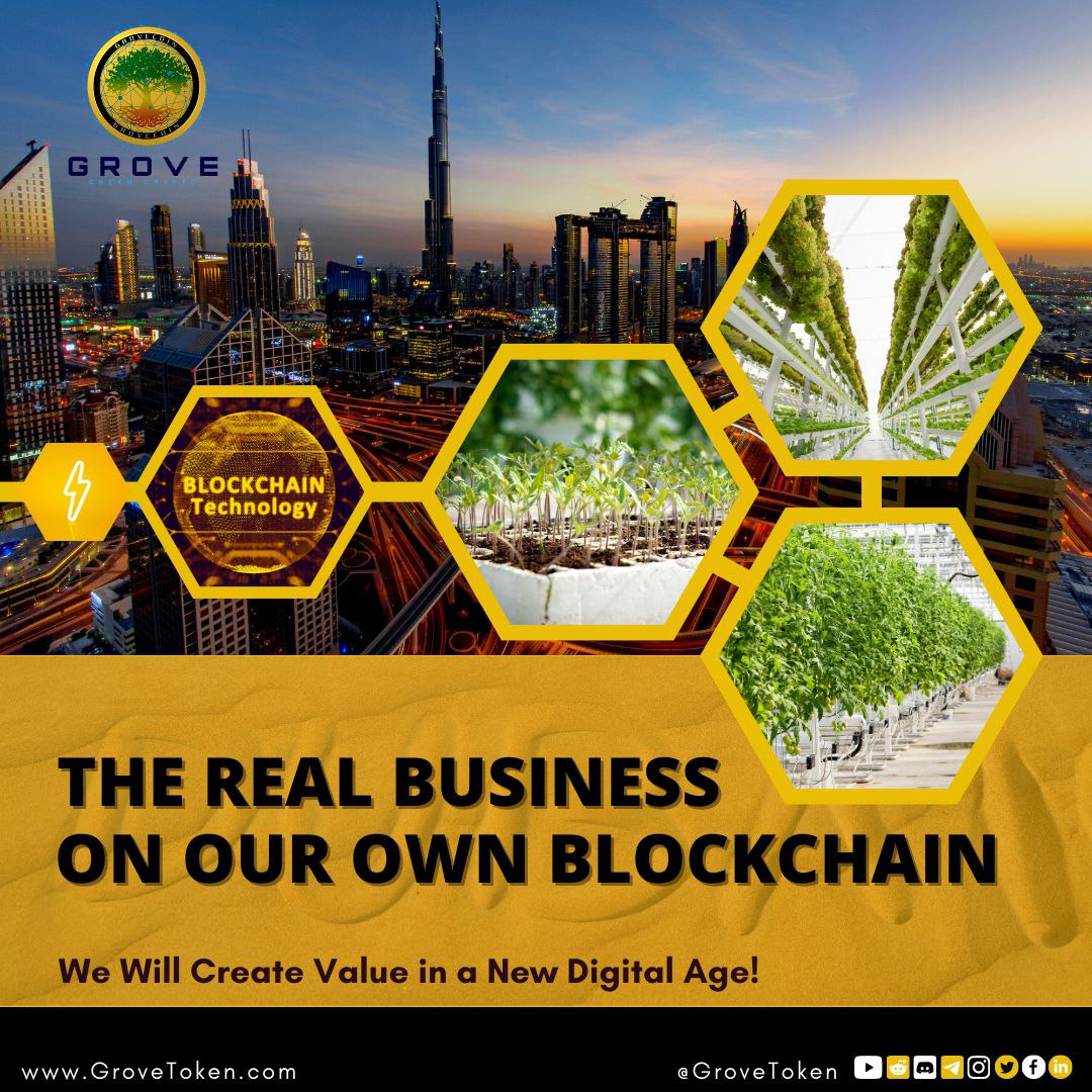 iamaaa's tweet photo. Aagaya, grah ko nukasaan pahunchae bina apanee upaj ko taaza rakhane ka ek tareeka. #GroveGreenCrypto se ARK2.0 ke saath #Sustainability ka anubhav karen!
#HydroponicFarming
#GroveBusiness
aaj hee apana paane ke lie @SS4WGRV ko jald sampark karen!

#GroveHydroponicFarming https://t.co/6F6PFAFr0M
