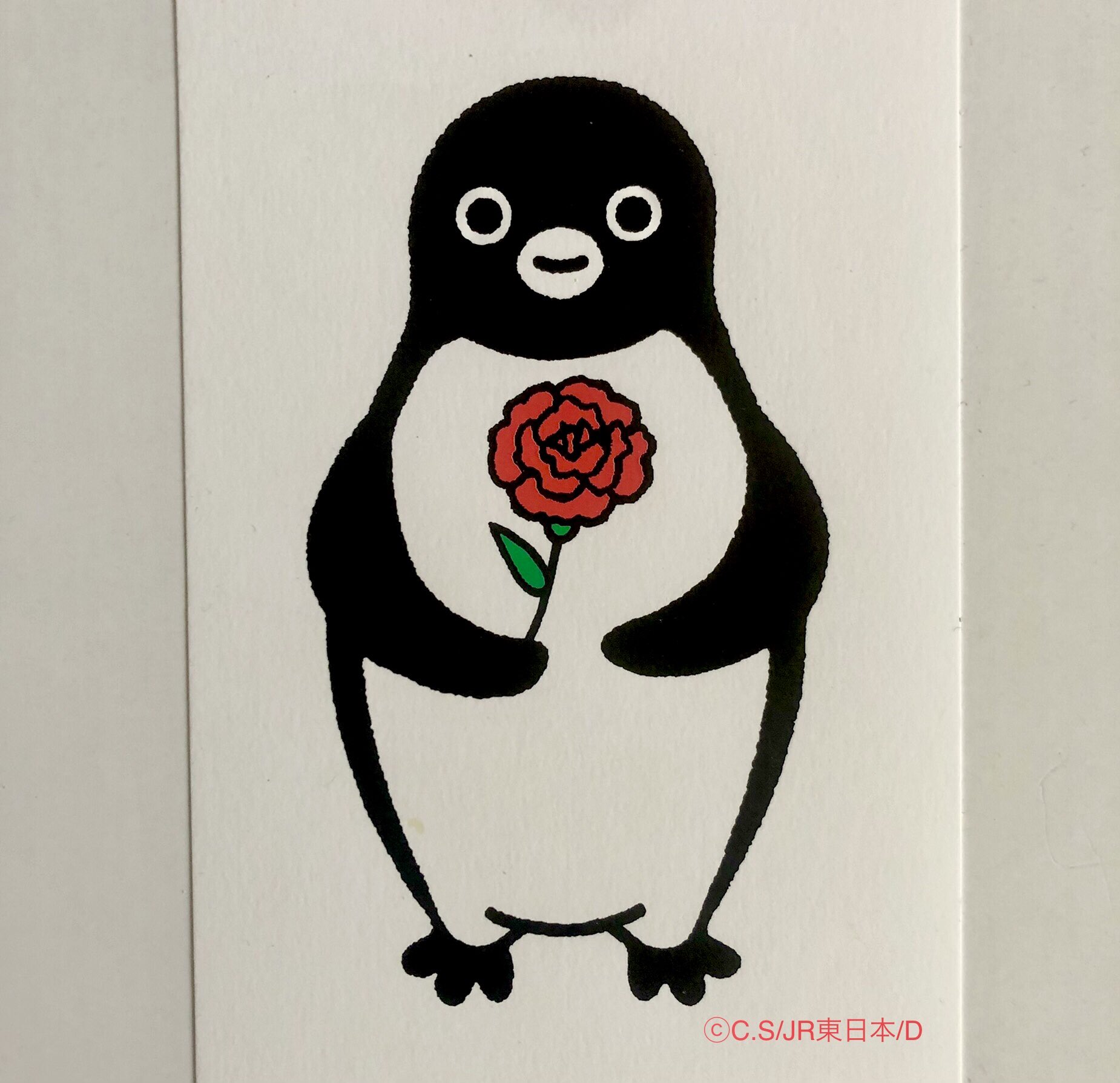 Suicaペンギン直筆(原画)イラスト・サイン坂崎千春貴重♪