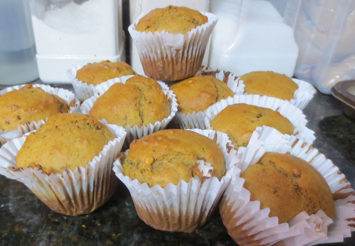 Leona Lee on Twitter "got 2 of 3 tasks done today! beef stew frozen