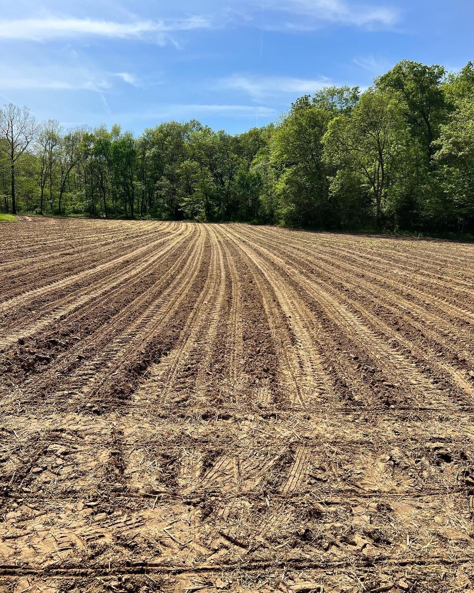 Buck_Chasers's tweet photo. Well play time is over and back to the grind. A lot of long hours and late nights getting that yellow gold in the ground. #foodplots #guidelife #cornfields #beanfields #deerhunting #hunting #reapwhatyousow #deerfoodplots https://t.co/iWdrs5m4RA