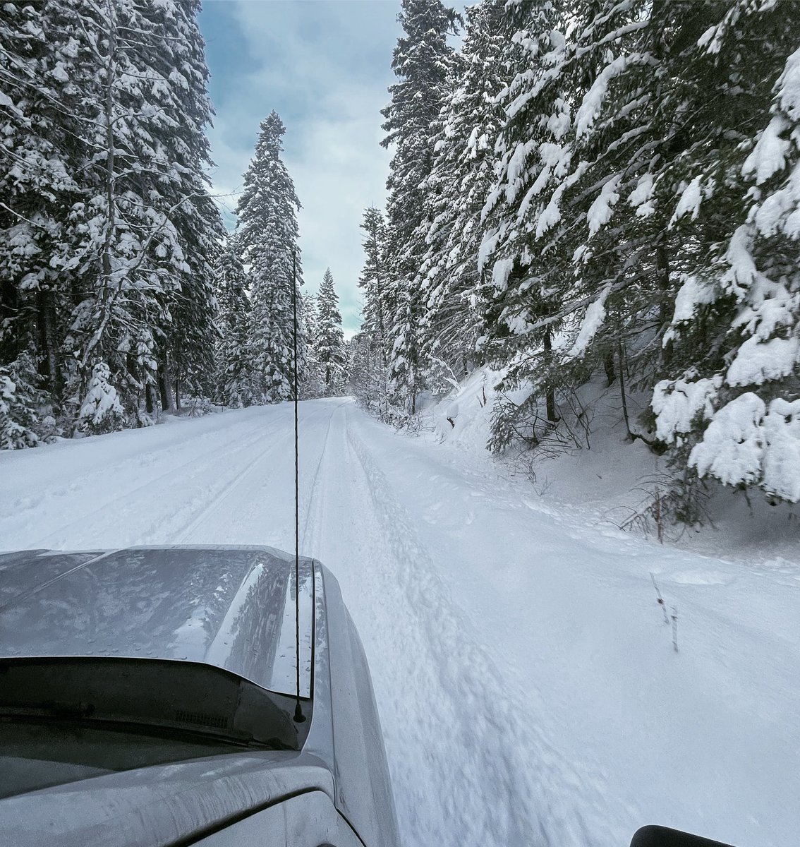 MidRdAdventure's tweet image. 