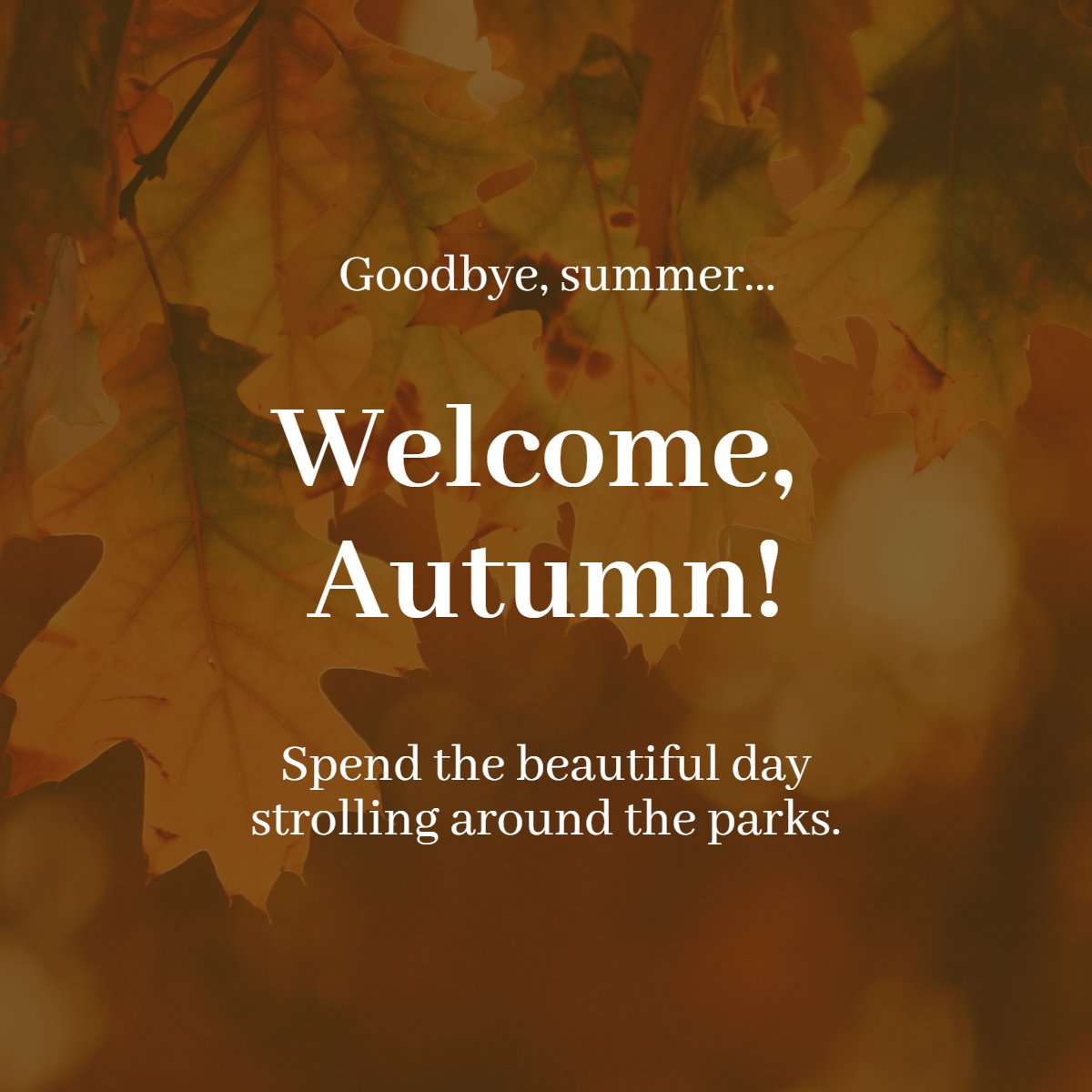 Welcome Autumn! 🍂

#goodbyesummer    #byebyebye    #goodbyesummerhellofall    #helloautumn    #seasons 
#Reno #RealEstate #Newhouse #Kitchenreno #FlooringReno #RenoRedo