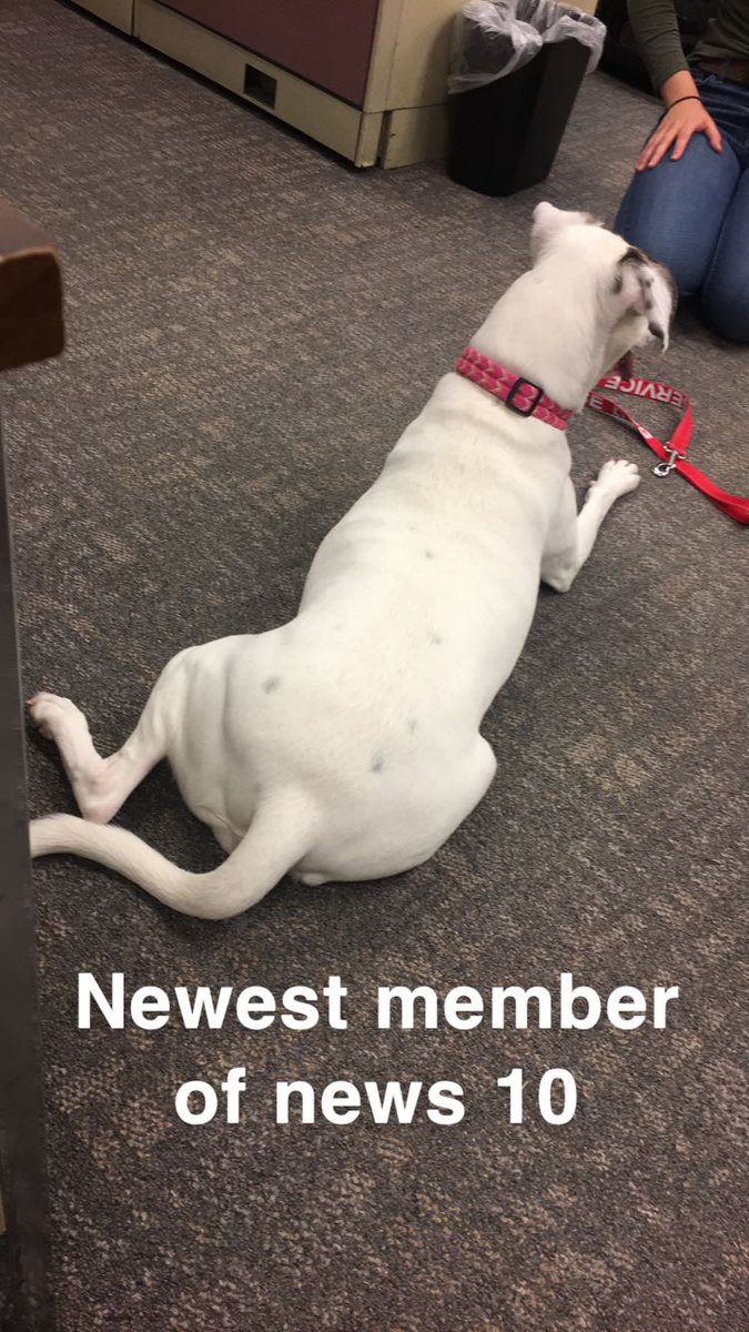 Karley Cross tweet media