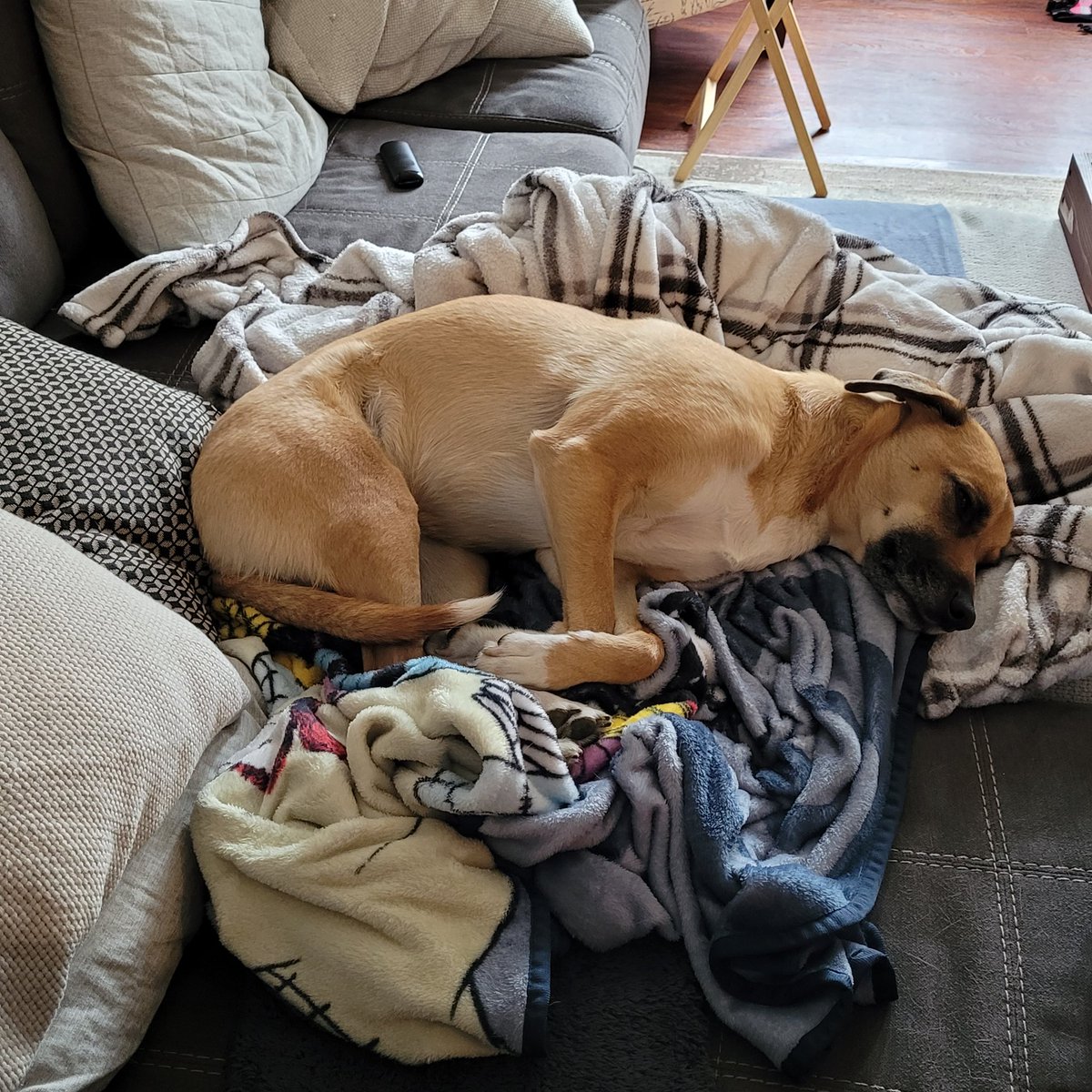 Zach Shelley tweet media