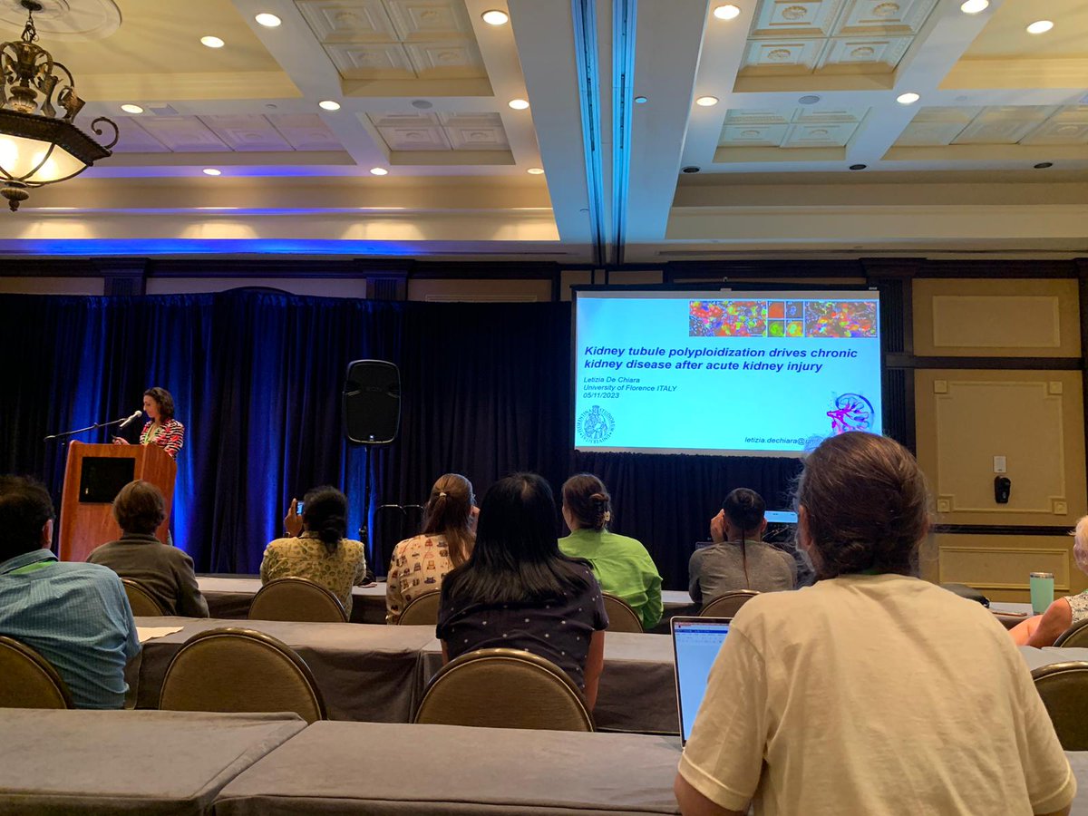 LetiziaDeChiara (@letiziadechiara) on Twitter photo On the way back from a great conference!! It was amazing to meet so many polyploidy enthusiastic!! Thanks for the opportunity to present our work!! <a href="/ElenaLazzeri2/">Elena Lazzeri</a> #Polyploidy2023 On the way back from a great conference!! It was amazing to meet so many polyploidy enthusiastic!! Thanks for the opportunity to present our work!! <a href="/ElenaLazzeri2/">Elena Lazzeri</a> #Polyploidy2023