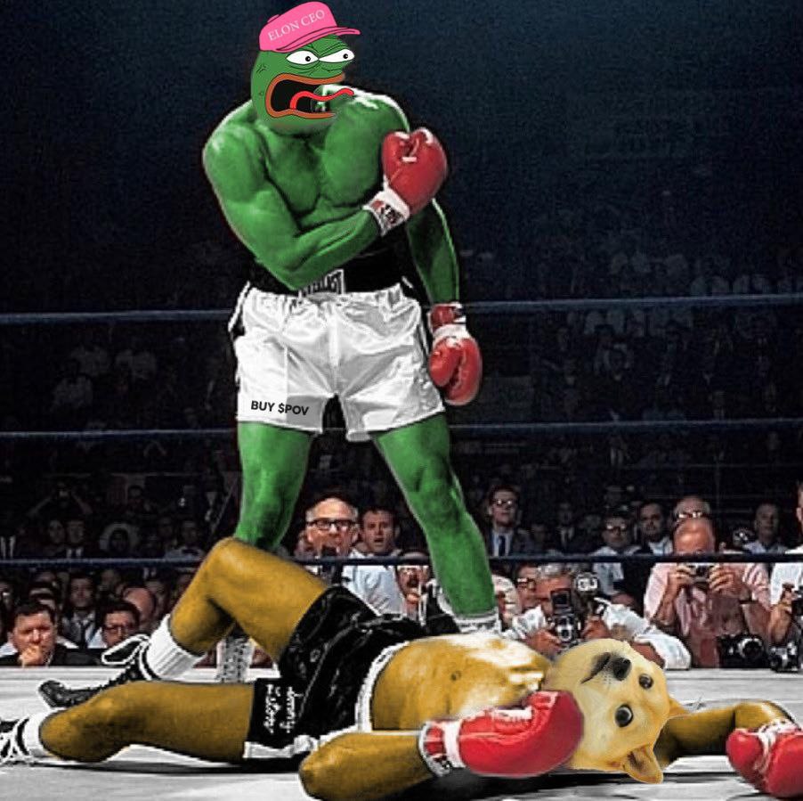 YangZhang520's tweet photo. @kucoincom $POV   To  The   Moon   🐸🔥🐸 https://t.co/AtuqKTpKIE