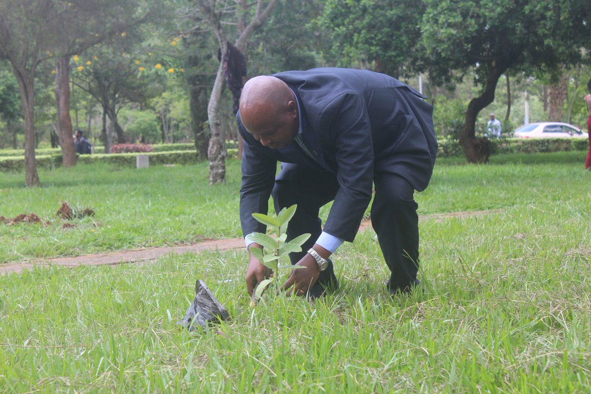 Every tree 🌴 planted today represents our true intentions of saving our planet.
#ClimateActionNow 
#PlantforthePlanet