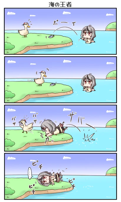 「海の王者」 #さかまた飼育日記