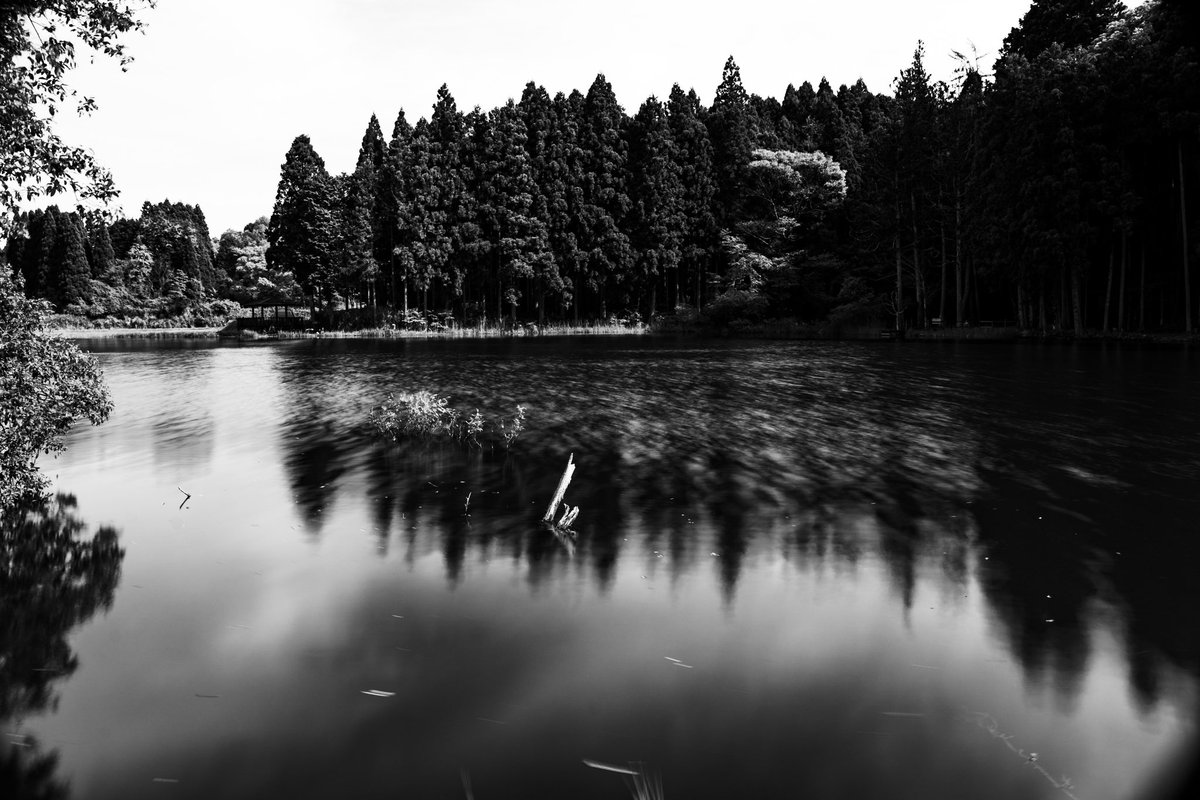 Hi_FLAT's tweet photo. #monochrome https://t.co/SfZ0l7l6ac