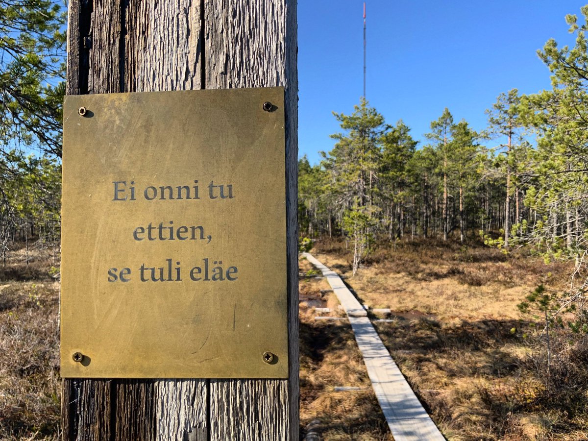 MinnaHalme's tweet photo. Näin. #hollola #montaluontoa #viisaus https://t.co/w6XgHMfbnB
