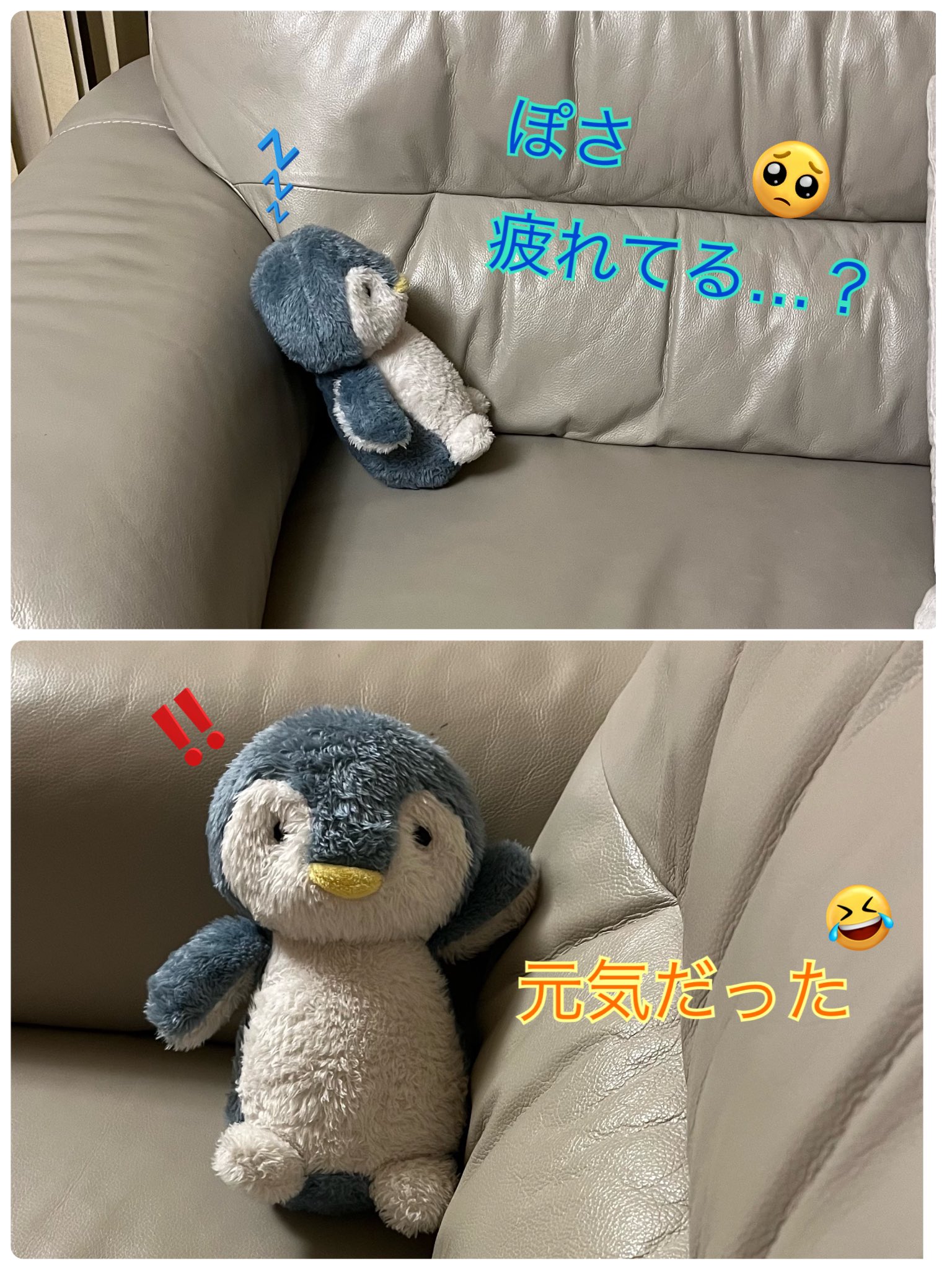 DAISO　ペンギンぬいぐるみ ダイソー（DAISO）のぬいぐるみ（ペンギン） : 育てるブログ