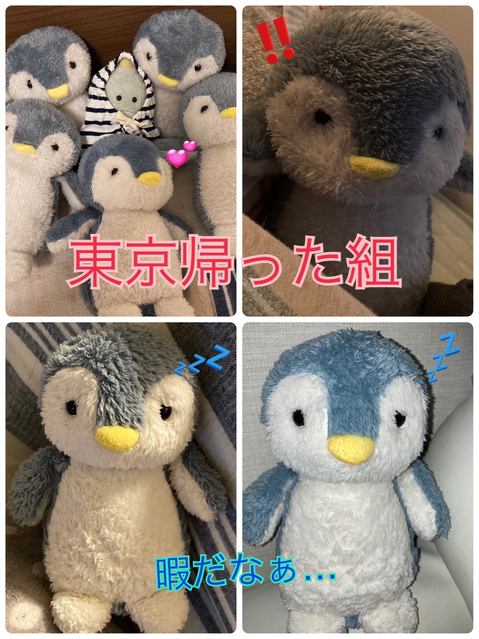 ペンギンBrothers on X: 