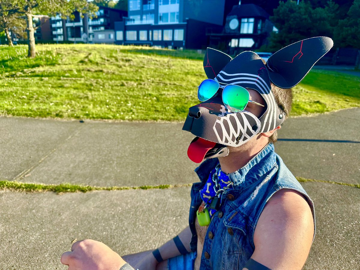 koga_steel's tweet photo. Took a walk along Alki Beach dressed like this with @knotchThePig. Knotch takes great photos! https://t.co/xuC0gUyK3m