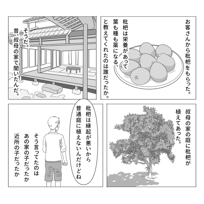 昔は枇杷を庭に植えてはいけないと言われていたようですが、私の家の庭には枇杷の木が育っています。鳥の糞から勝手に生えてきたようなんですが、今では庭で大きく成長して実をたくさんつけています🙂

枇杷の話 1/2
#不思議な話 #物書きの不思議な話 #漫画が読めるハッシュタグ 