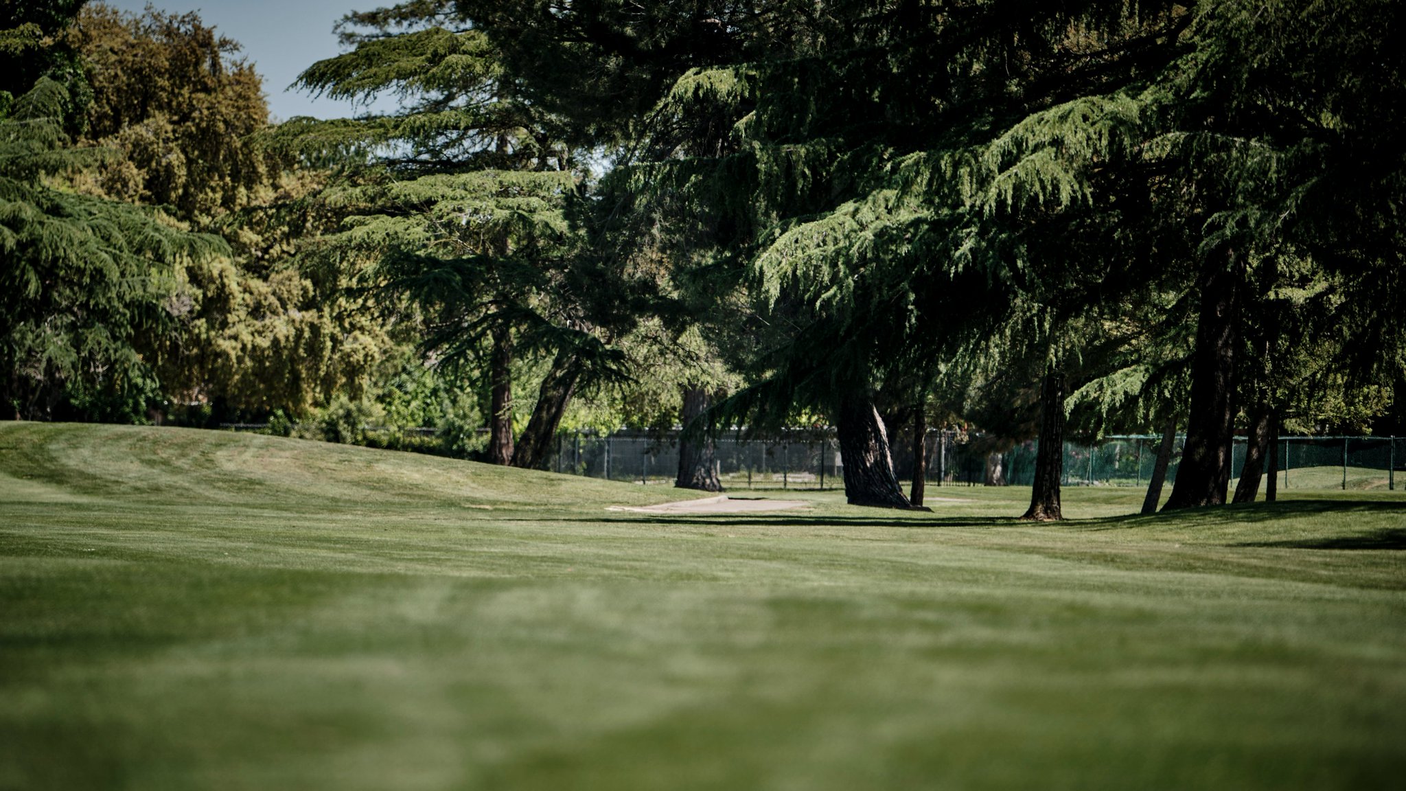 Disc Golf Pro Tour on Twitter "DGPT Statement on US Court of Appeals