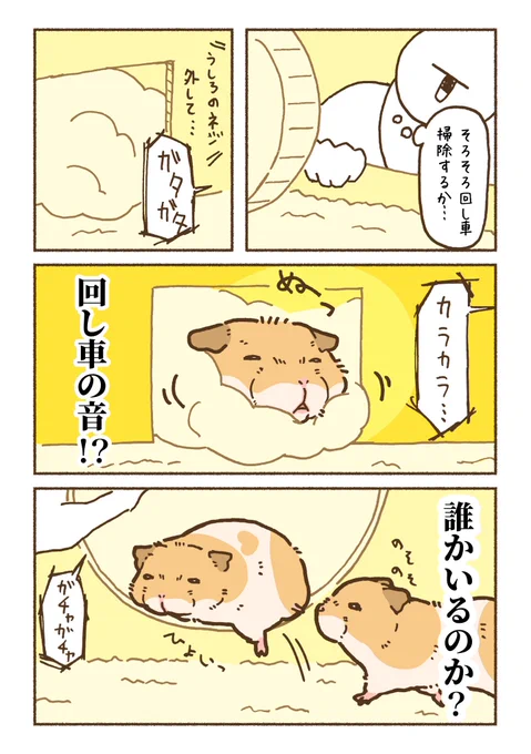 キャトラれハムスター 