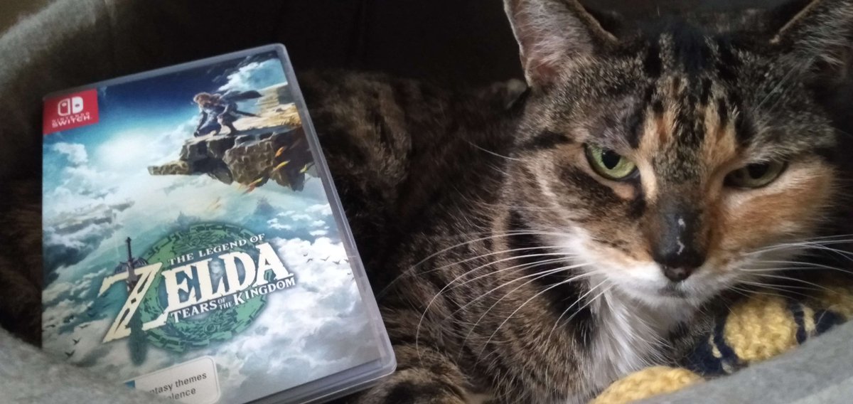 TheIndomitabl10's tweet photo. My current self control to not play TotK before tonight's stream is only possible because Ember is safeguarding the game <3 (I can't say no to that cute face!) #TearsOfTheKingdom #catlife #cat https://t.co/r9gUgV5Ri5