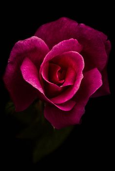 Yüreğiniz iyi olsun bugün solunuz umut dolsun günaydın canlarım