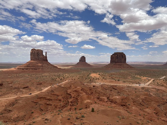 Lenny is a worldly bean https://t.co/QnPQu1uUIP