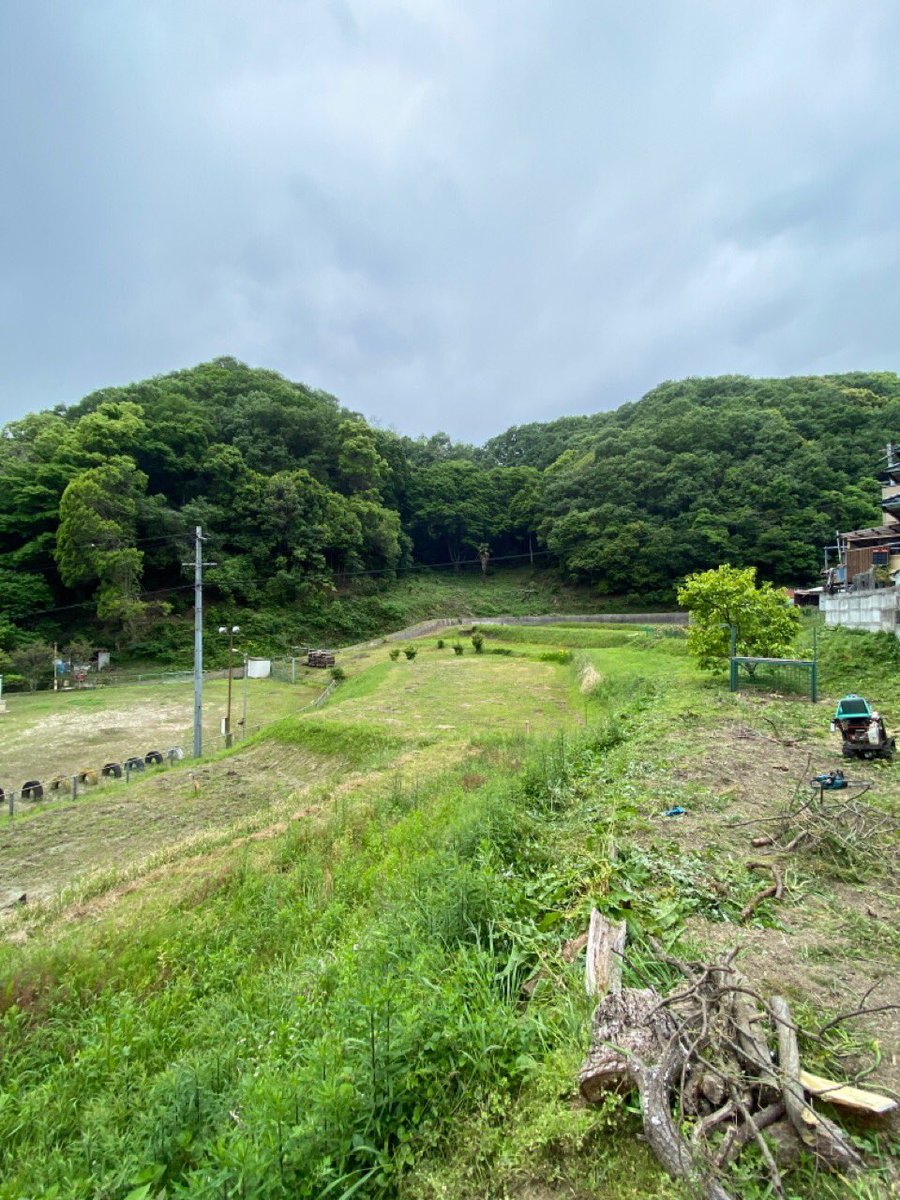 BDTC17's tweet photo. 私は地域では1番広く畑地を管理しておりパノラマ写真に写る小屋のある畑以外と里山や畑を手入れしてます。

この度、猪対策はこ檻を設置する予定ですと町内会長から連絡がありました。
家に帰ると庭から2m程離れた所に設置。赤↓の所
家からも5,6mの所。
↓

#猪対策
#猟友会 https://t.co/3GMtNO8mn6