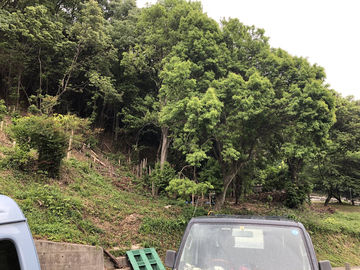 BDTC17's tweet photo. 私は地域では1番広く畑地を管理しておりパノラマ写真に写る小屋のある畑以外と里山や畑を手入れしてます。

この度、猪対策はこ檻を設置する予定ですと町内会長から連絡がありました。
家に帰ると庭から2m程離れた所に設置。赤↓の所
家からも5,6mの所。
↓

#猪対策
#猟友会 https://t.co/3GMtNO8mn6