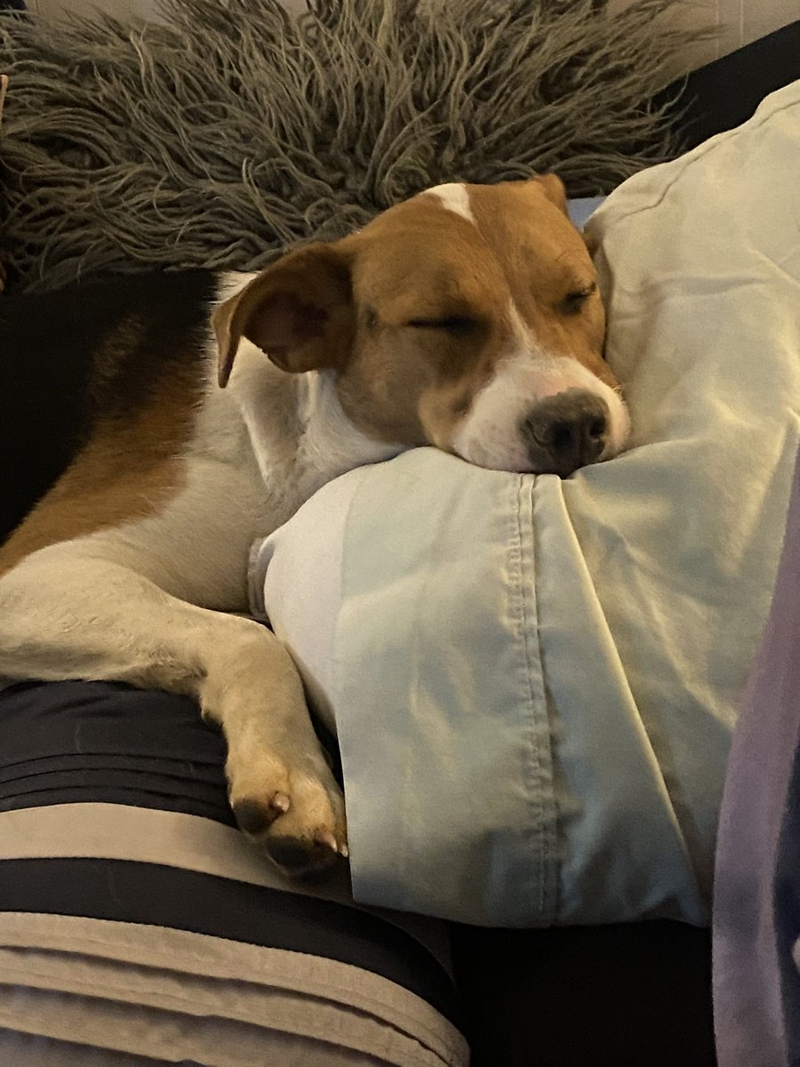 HarleyQR0906's tweet photo. Pictures of me and my Brother resting last night!!! https://t.co/fm76FYhFCX