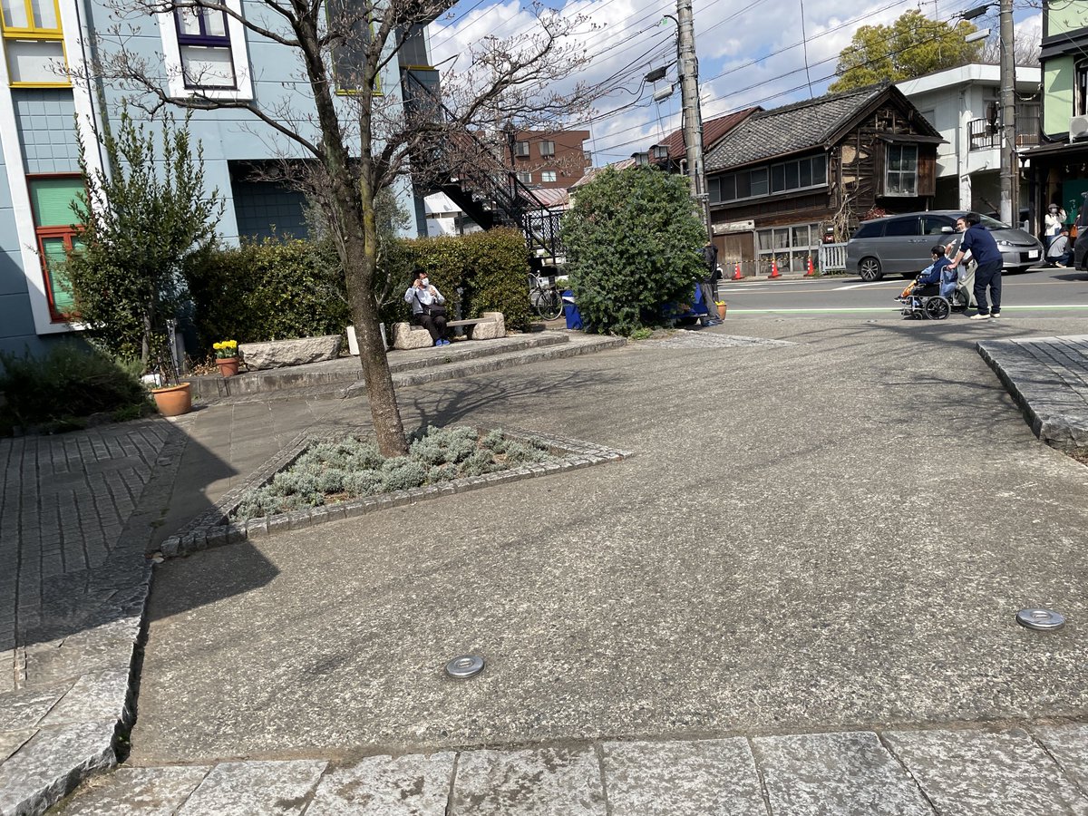 41298M's tweet photo. 札の辻ポケットパーク撤去が間もなく始まります。
つきましては花水木、ミモザ、月桂樹が欲しい方いらっしゃいましたらご相談下さい。花水木、ミモザは樹齢約10年、月桂樹は約20年になります。 https://t.co/ZYKMTye2jS