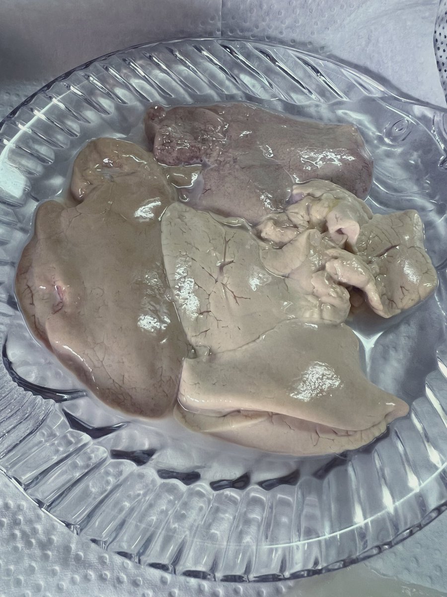 syoneBoy's tweet photo. 腹開いたら卵入っててうわーって思ってたら奥に大量の肝あって安心した🤭
カワハギ目当てなのでおまけ程度のメジナの気持ちだったけど捌いたら全然おまけじゃなかった😂😂
少し脱水タイムなので夜が楽しみでござる🐟
#会長のお魚屋さん　(@kaichoufishshop ) https://t.co/9ztRPTqhIl