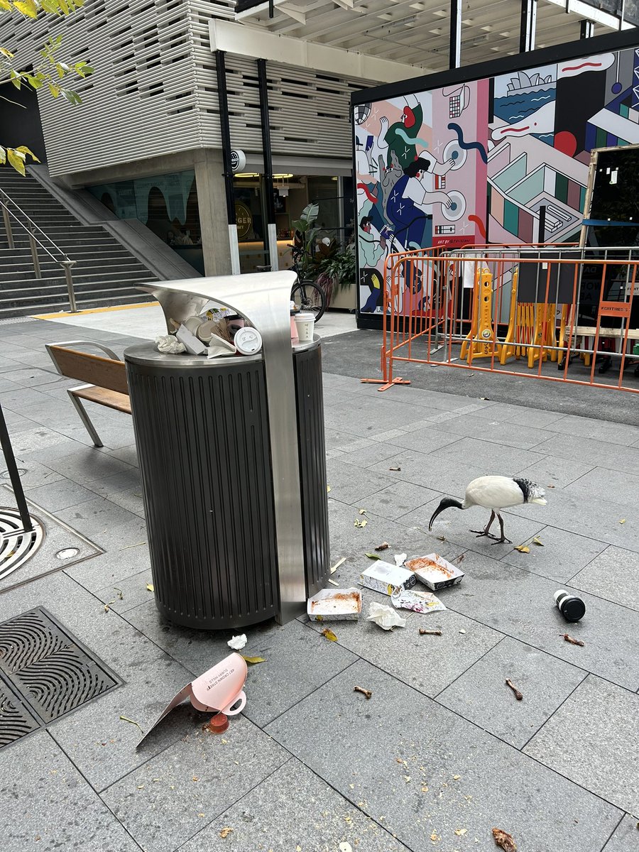 grifsu's tweet photo. @cityofsydney 
Complete neglect of public spaces around Circular Quay continues. A showpiece to the world but a disgrace. Overflowing rubbish bins and the infamous bin chickens on duty again. https://t.co/3czX9SQ7r4