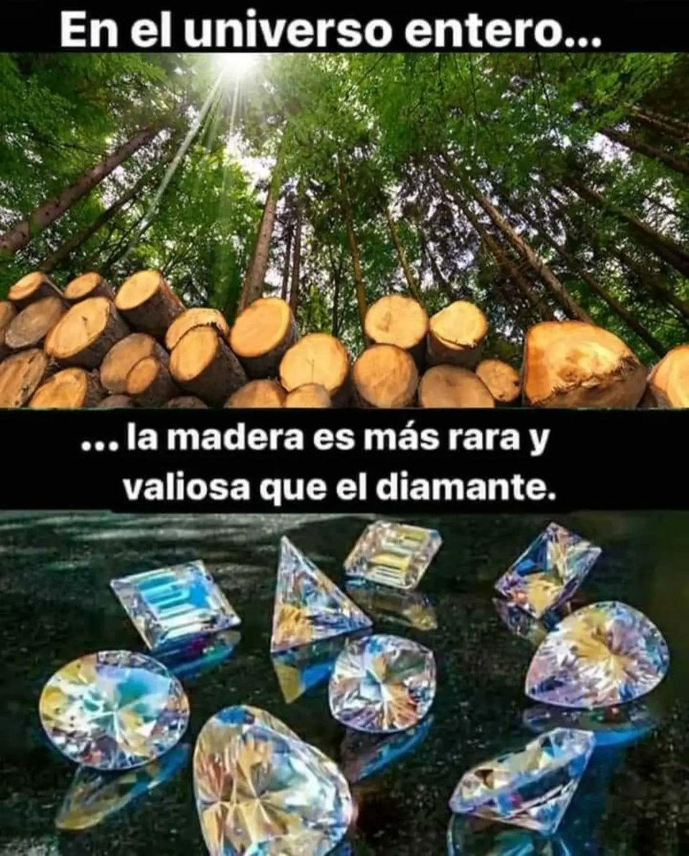 MsCiencia2's tweet photo. ¿Sabías que en el Universo entero, la madera es más rara que los diamantes? https://t.co/zQ4HLF40hY