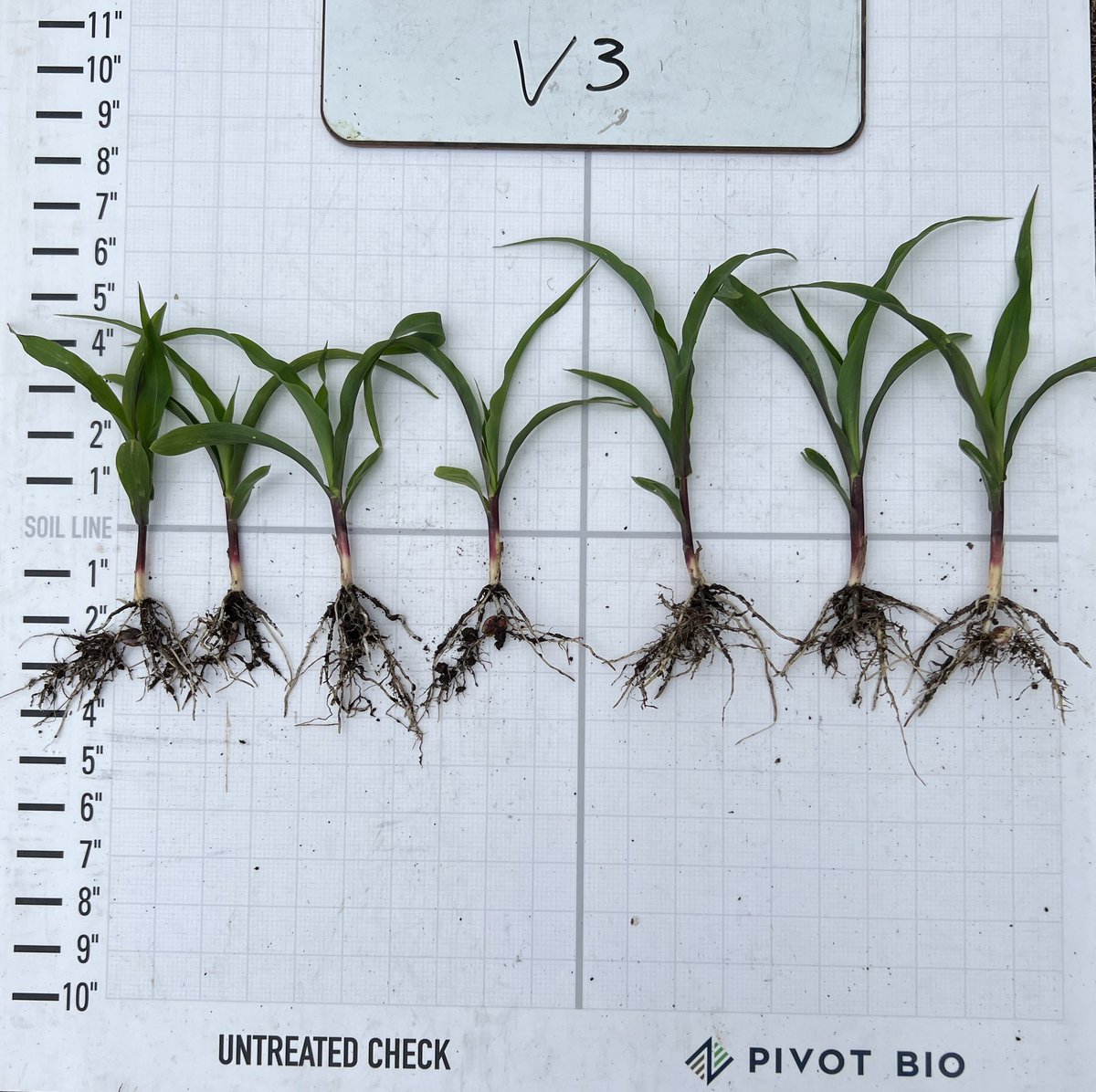 Allen Parrish tweet media