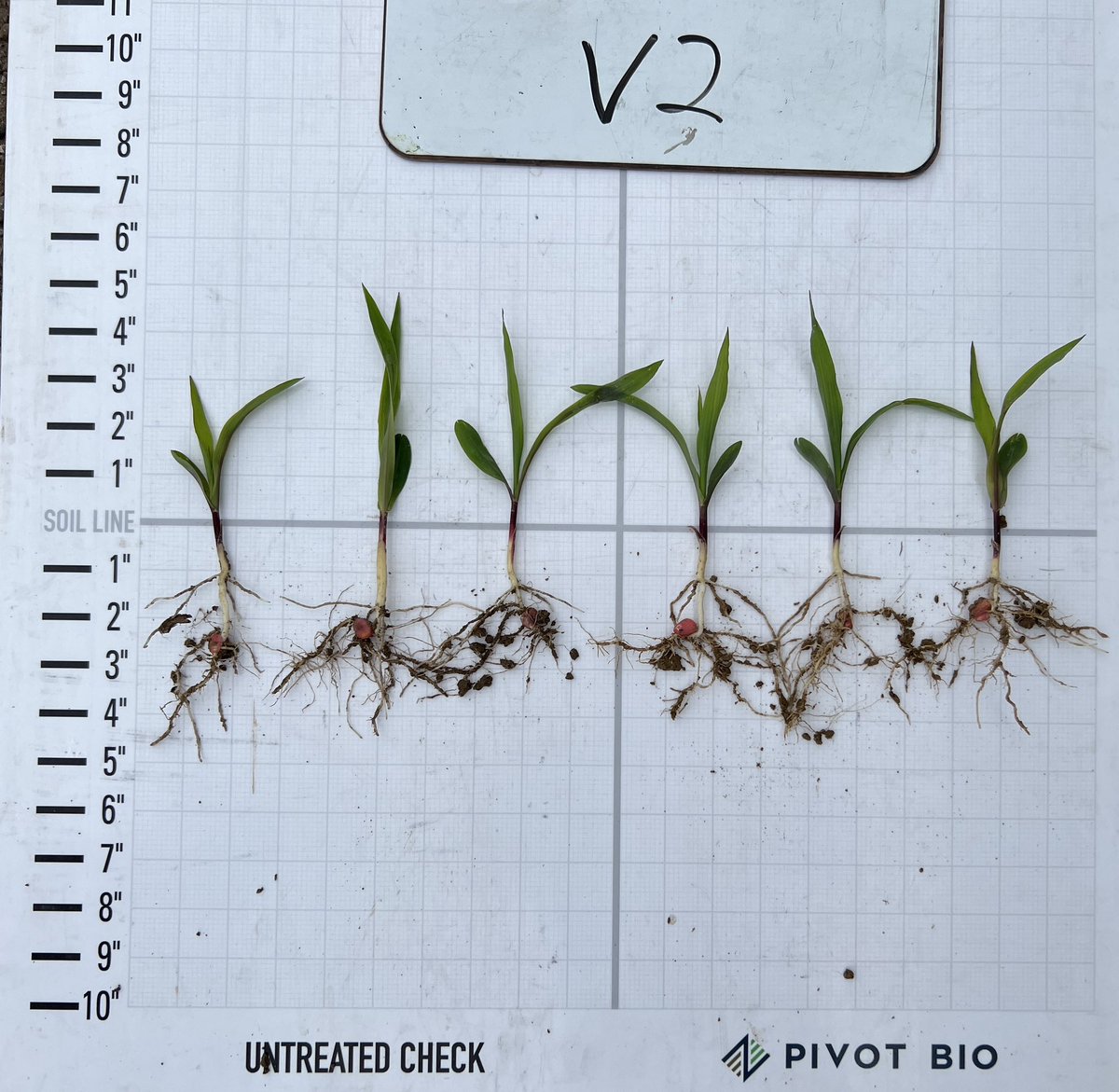 Allen Parrish tweet media