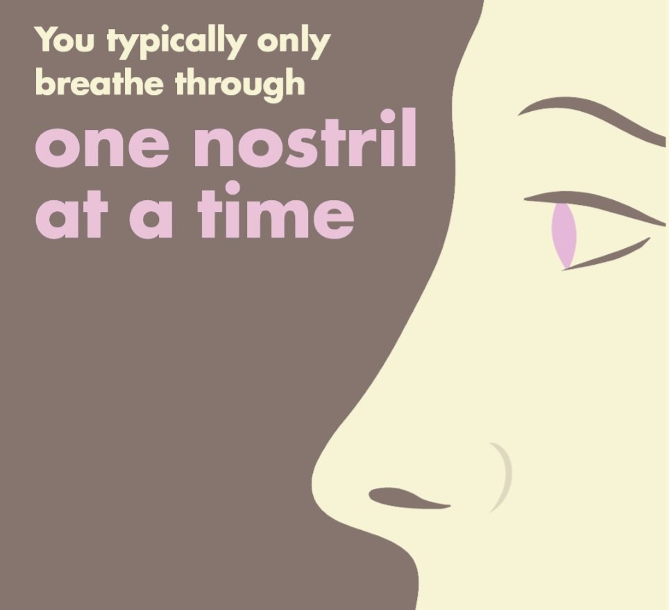 monitpahwa's tweet image. You typically only breathe through one nostril at a time... 
#typicallybreathing #onlybreathe #onenostril #noseair #atatime #monitpahwa #balancelife.in
