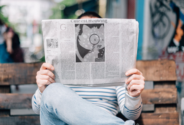 Bit Pixel Cat tweet media