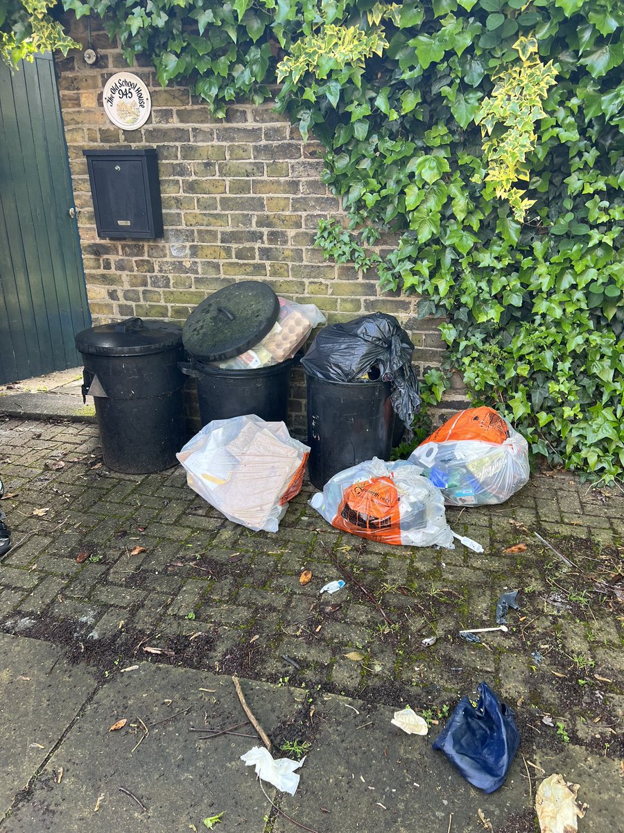 Thanks <a href="/wandbc/">Wandsworth Council</a> yours dedicated commitment to rarely collecting my bins over a 10 year period continues to reap benefits for the local fox population. 0 collections so far in May, and about the same in April. 10/10