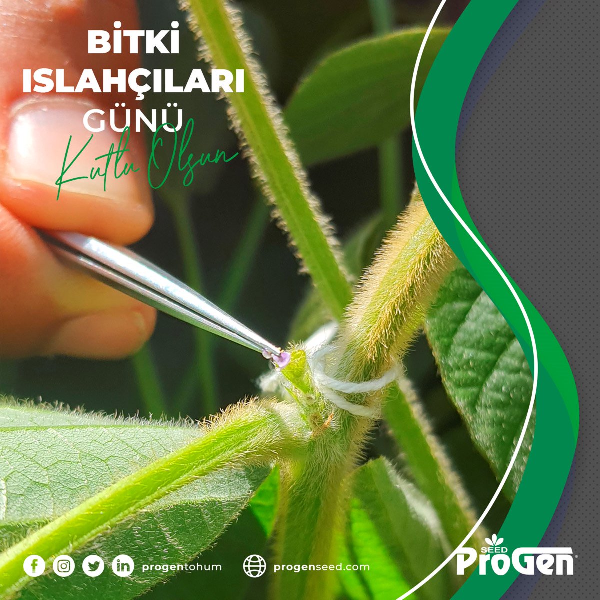 ProGenTohum's tweet photo. 11 Mayıs Bitki ıslahçılar günü kutlu olsun.
#progen #progentohum #progenseed #bitkiıslahçılarıgünü https://t.co/e9ewJorXNS