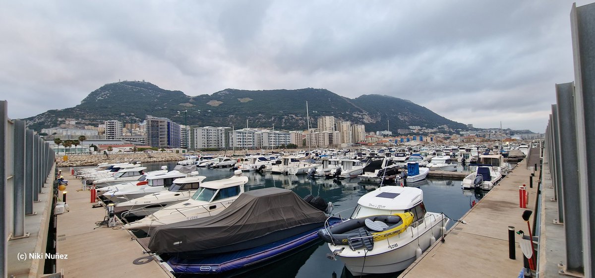 Niki Nuñez (@elnunezgib) on Twitter photo Today's weather report is cloudy with no chance of meatballs (hoy esta la cosa un poco mas fresh) <a href="/JohnBalestrino1/">John Balestrino</a> Today's weather report is cloudy with no chance of meatballs (hoy esta la cosa un poco mas fresh) <a href="/JohnBalestrino1/">John Balestrino</a>