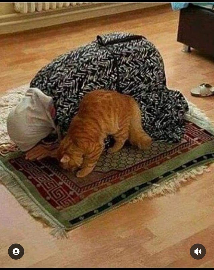 siyamaaaaa's tweet image. Today's best picture. Retweet and comment Ma Sha Allah.