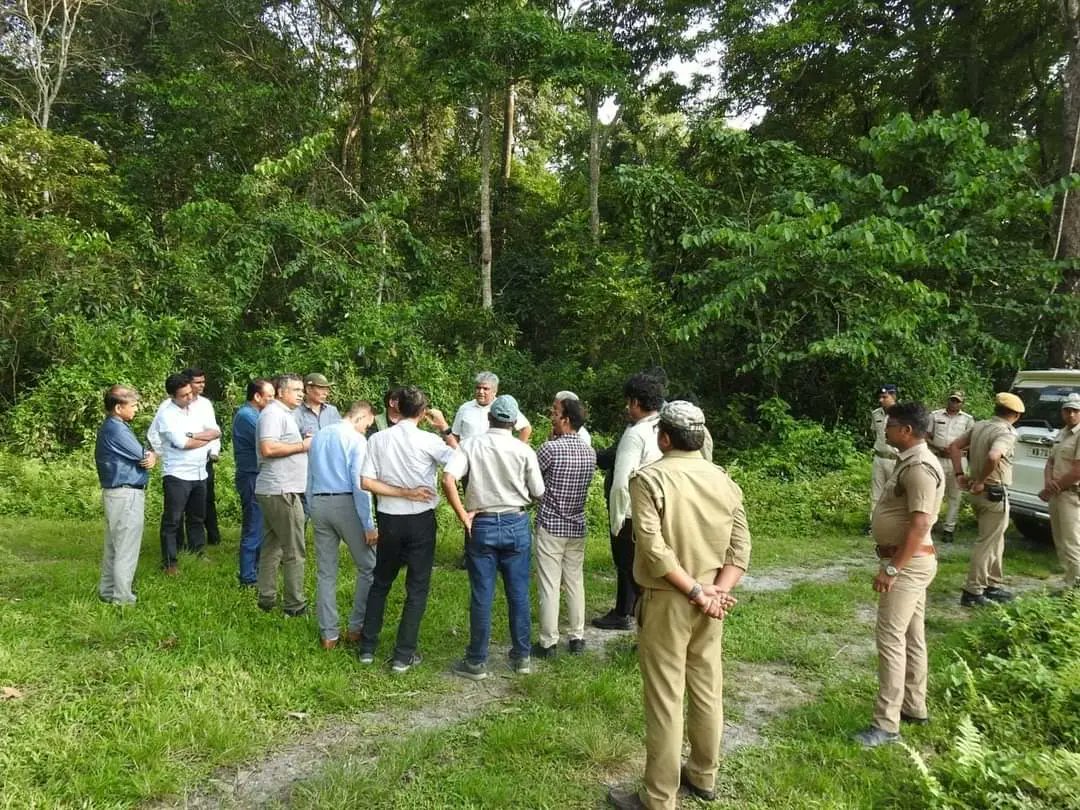 ForestDeptWB's tweet photo. NTCA and GTF officers visit BTR, as a future road map on tiger augmentation is introduced
To read more:https://t.co/DFVokSKhlD
.
.
.
.
#westbengalforestdepartment #buxa #northbengal #wildlife #tigerreserve #governmentofwestbengal #tigeraugmentation #foredt #forestlife https://t.co/hQabejj9Mw