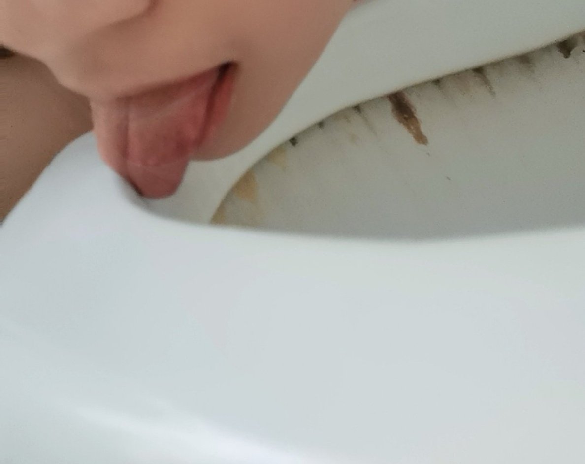 FrancesPritt1's tweet photo. ���休，先舔个马桶，助助兴～ #反差婊 #肉便器 #吞精  #骚货 #婊子 #母狗 #公交车 #堕落  #性瘾  #辱骂 #反差  #变态 #萝莉 #内射 #淫娃 #颜射  #媚黑  ＃鸡巴套子 #贱种 #母畜 #喝尿 #吞精 #慰安婦 #支那婊 #黄皮母猪 #女王大人 #男尊女卑 #女女 #女同 #互毁 https://t.co/2SCuXvTXiR