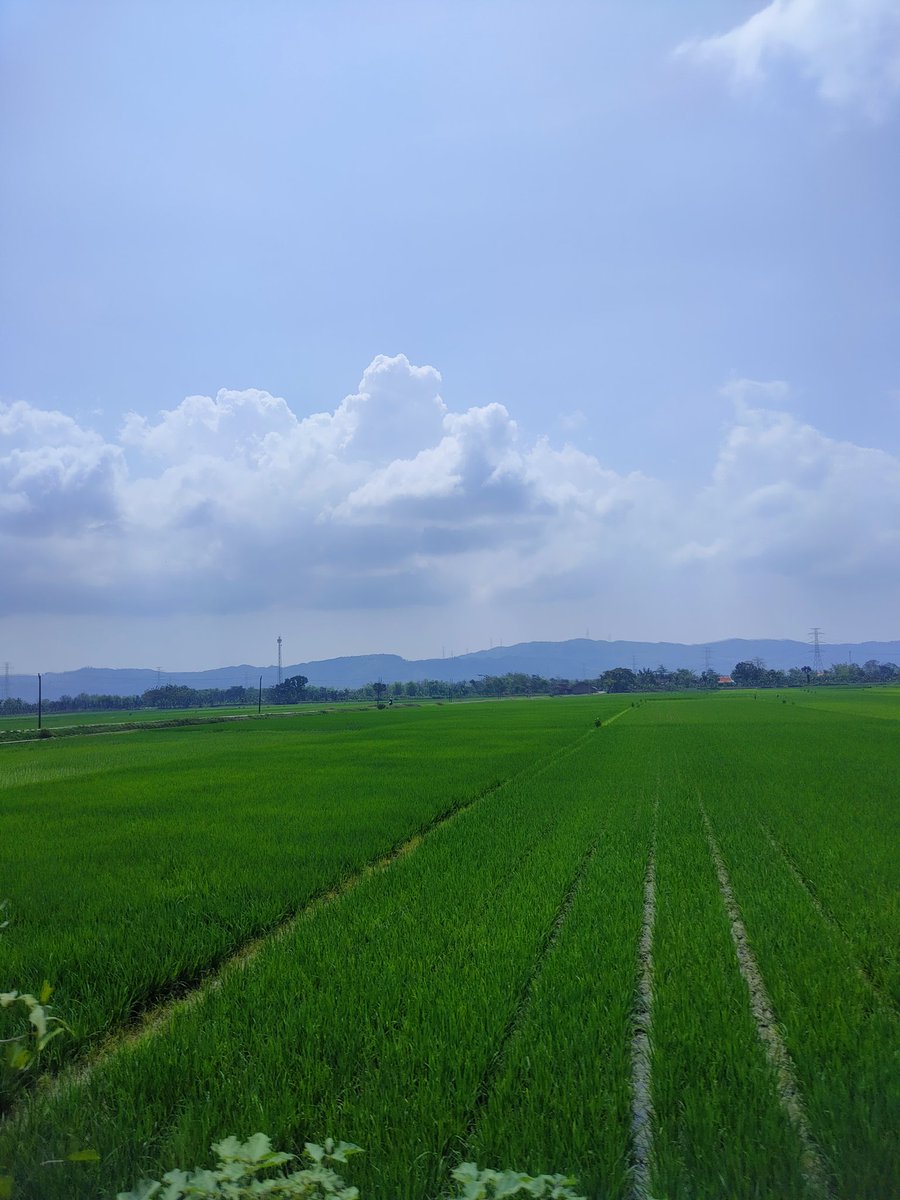 =) (@keniswa) on Twitter photo 